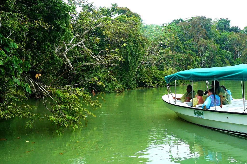 Gamboa Rainforest Reserve Buitenkant foto